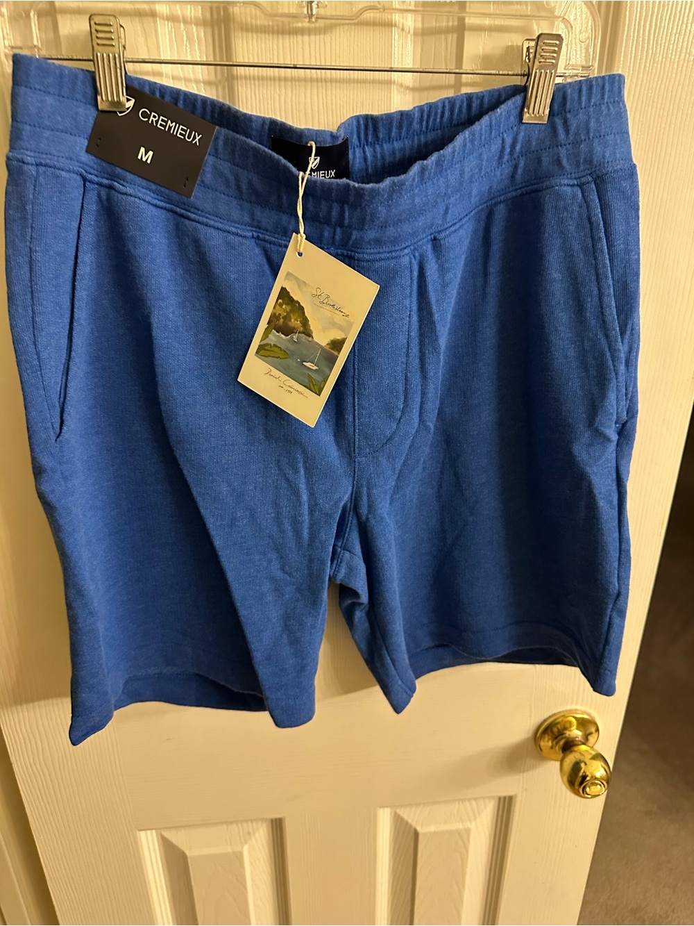 Daniel Cremieux Royal Blue Knit Athletic Shorts